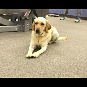 Meet your Posher, Terri